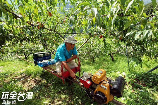 Da Kuan Peach Farm Resort Hualing Eksteriør billede